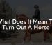 What Does It Mean To Turn Out A Horse