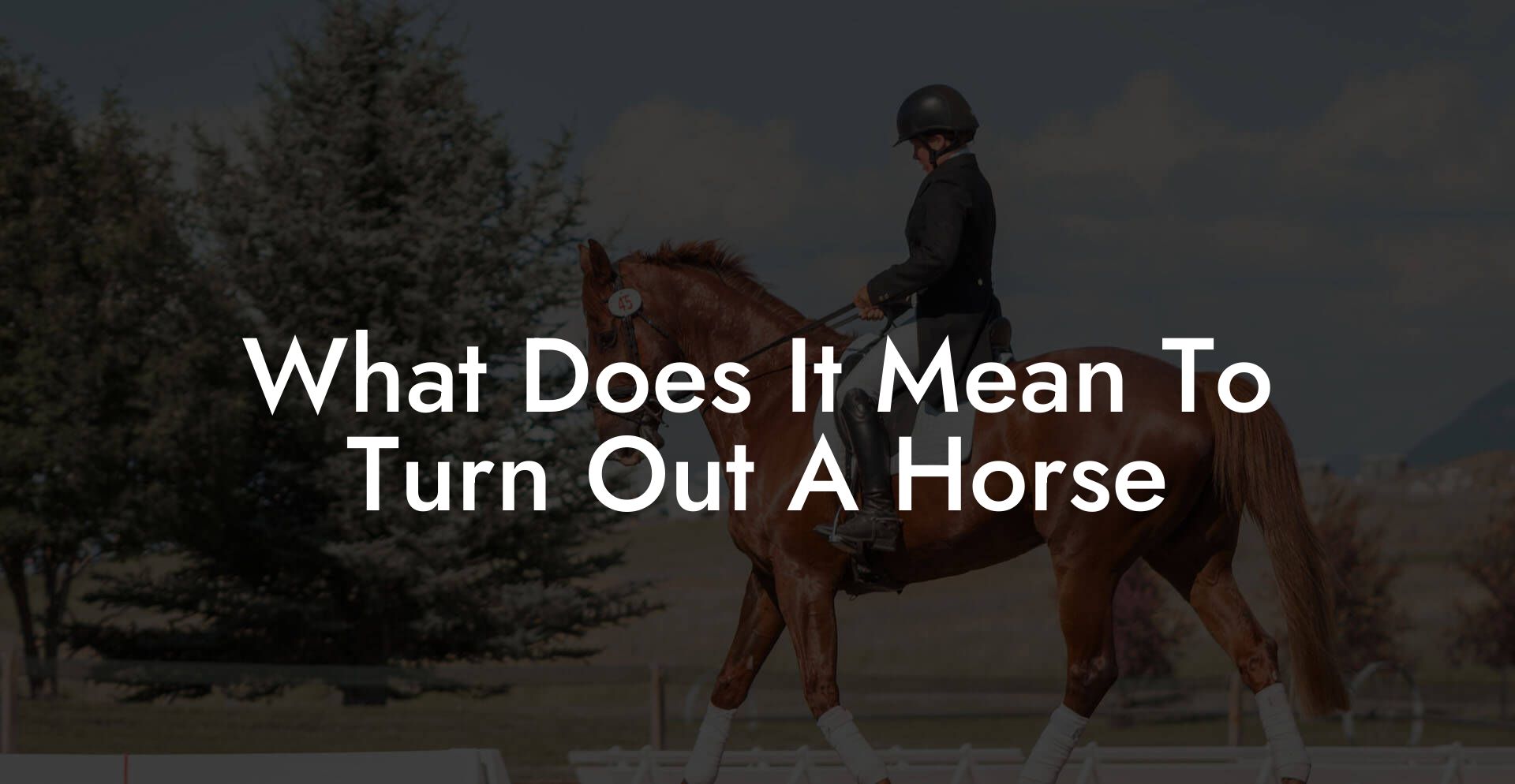 What Does It Mean To Turn Out A Horse