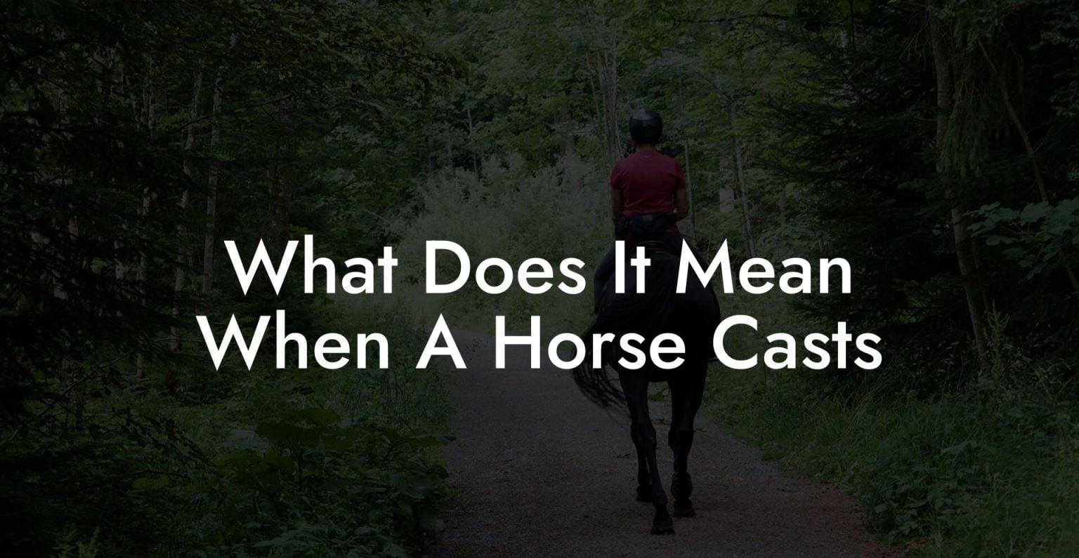 What Does It Mean When A Horse Casts How To Own a Horse