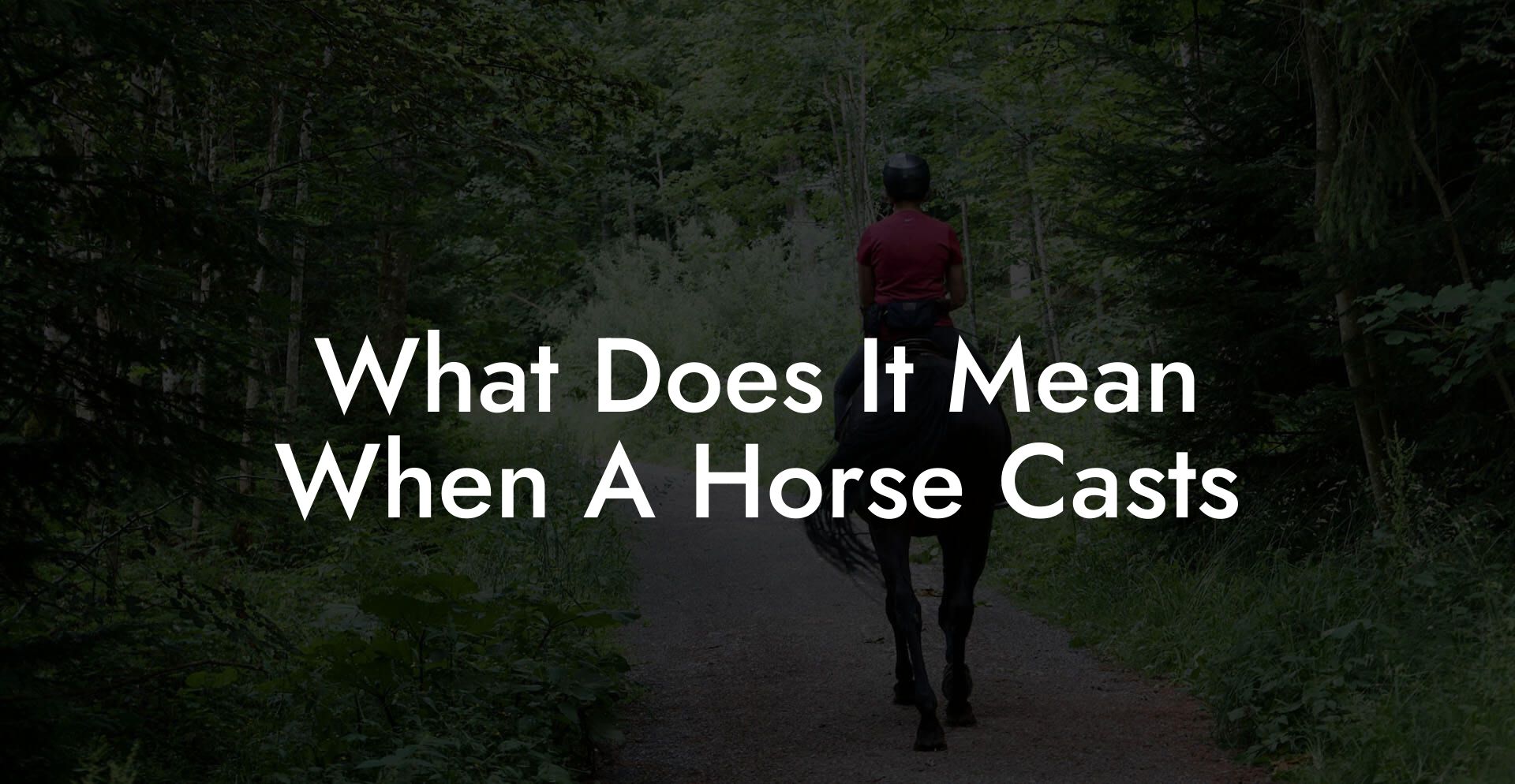 What Does It Mean When A Horse Casts