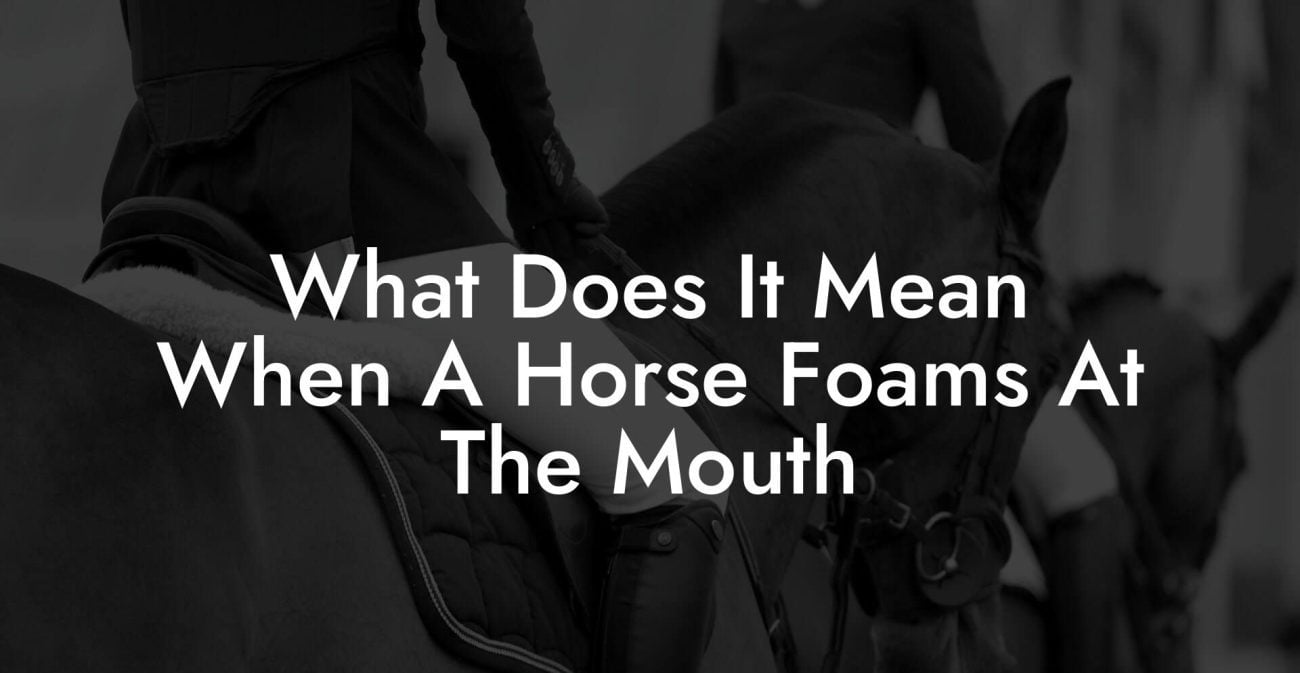 What Does It Mean When A Horse Foams At The Mouth