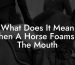 What Does It Mean When A Horse Foams At The Mouth