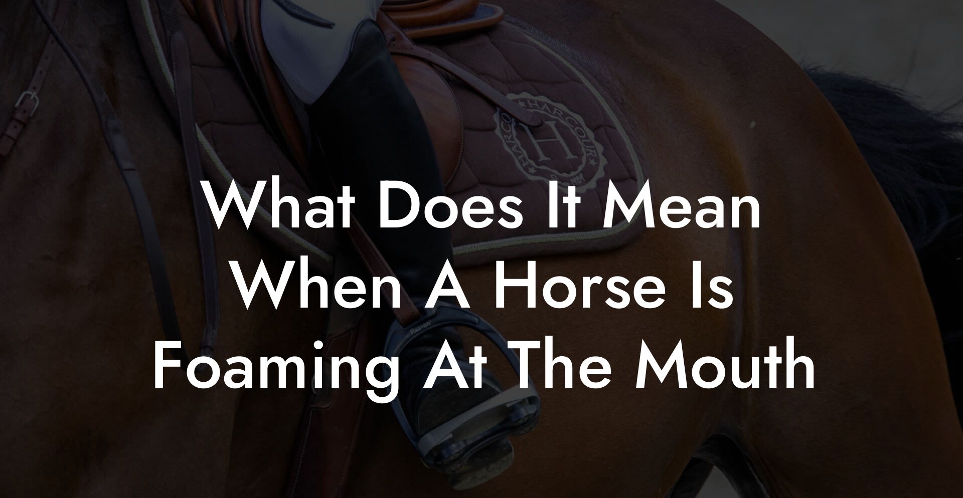 What Does It Mean When A Horse Is Foaming At The Mouth