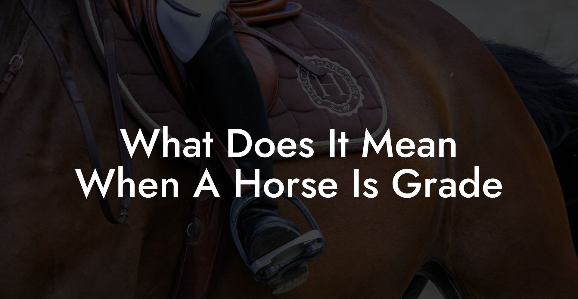 What Does It Mean When A Horse Is Grade