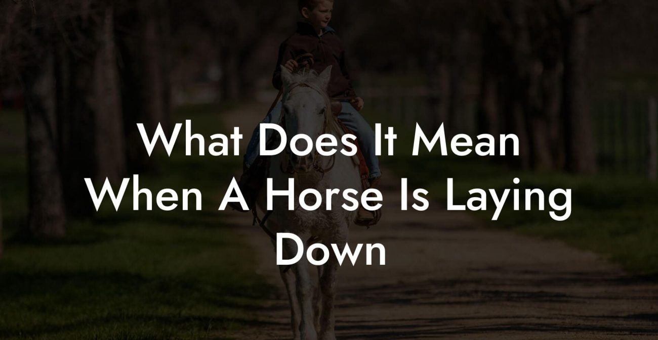 What Does It Mean When A Horse Is Laying Down