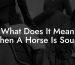 What Does It Mean When A Horse Is Sound