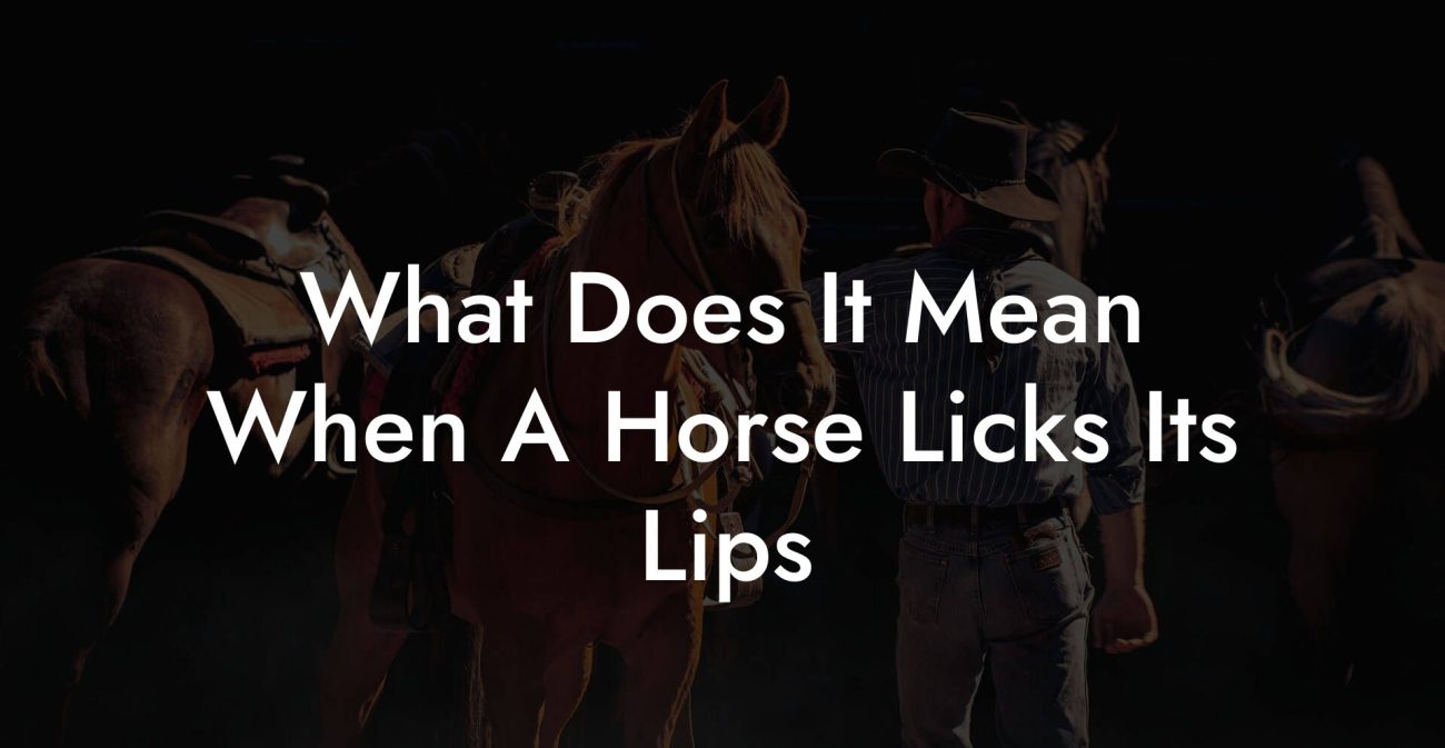 What Does It Mean When A Horse Licks Its Lips