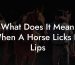 What Does It Mean When A Horse Licks Its Lips