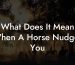 What Does It Mean When A Horse Nudges You