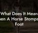What Does It Mean When A Horse Stomps Its Foot