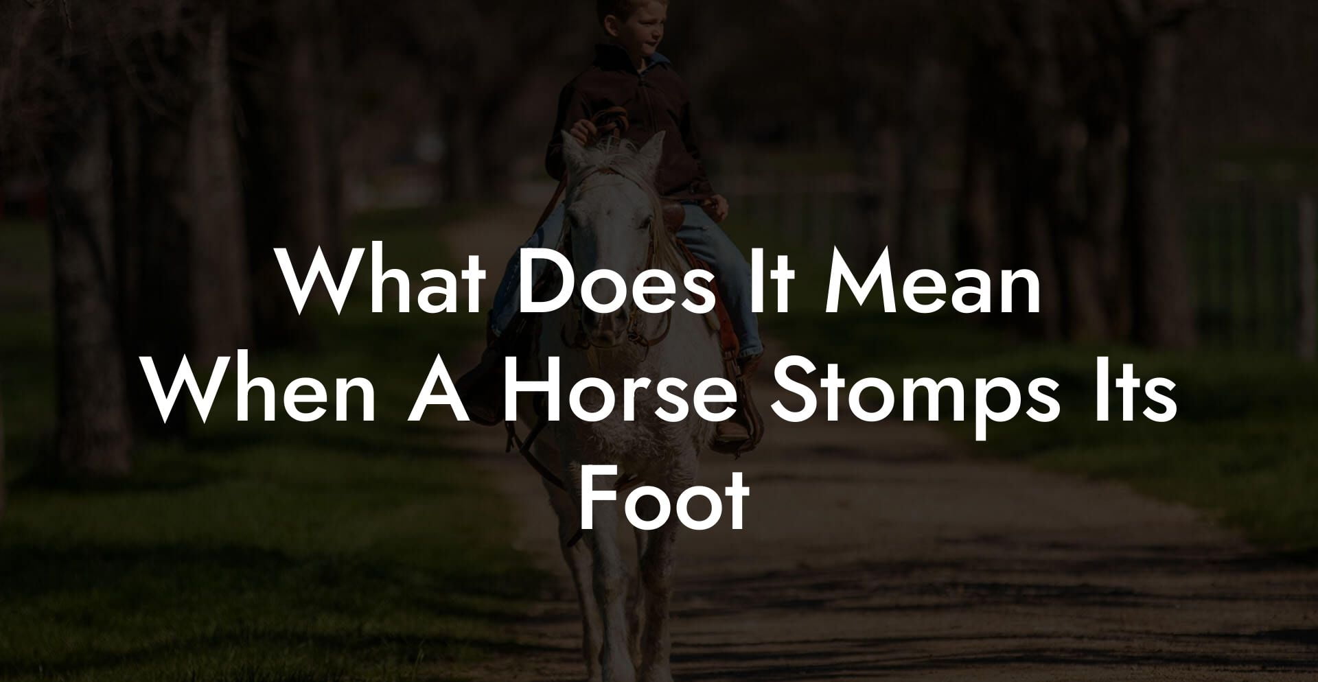 What Does It Mean When A Horse Stomps Its Foot