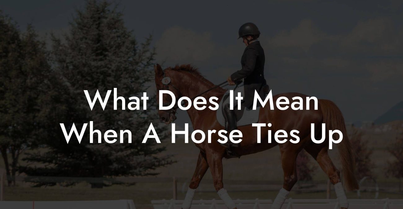 What Does It Mean When A Horse Ties Up