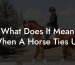 What Does It Mean When A Horse Ties Up