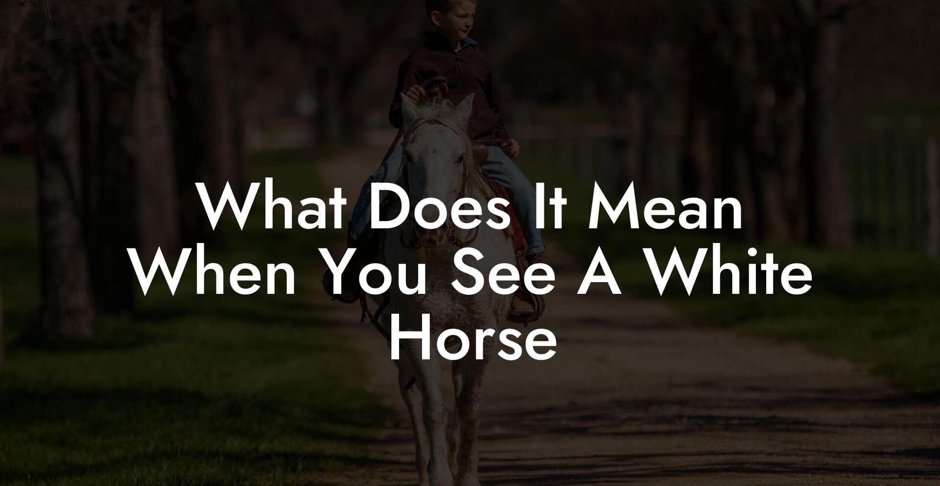 What Does It Mean When You See A White Horse