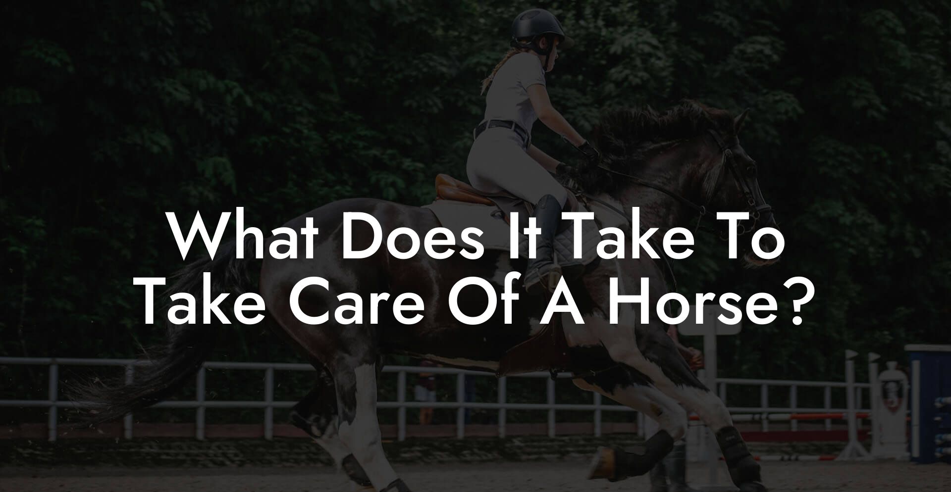 What Does It Take To Take Care Of A Horse?