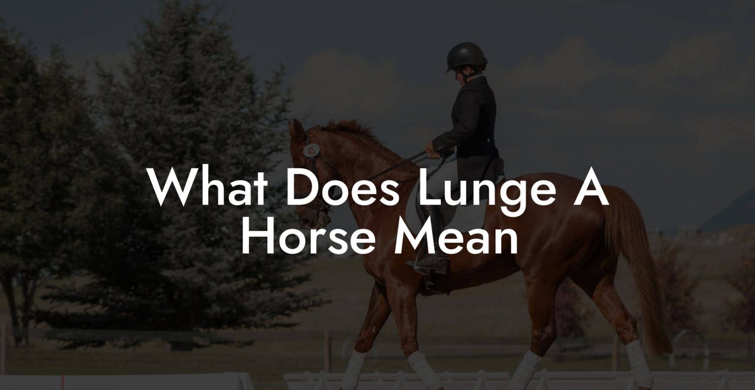 What Does Lunge A Horse Mean How To Own a Horse