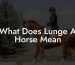 What Does Lunge A Horse Mean