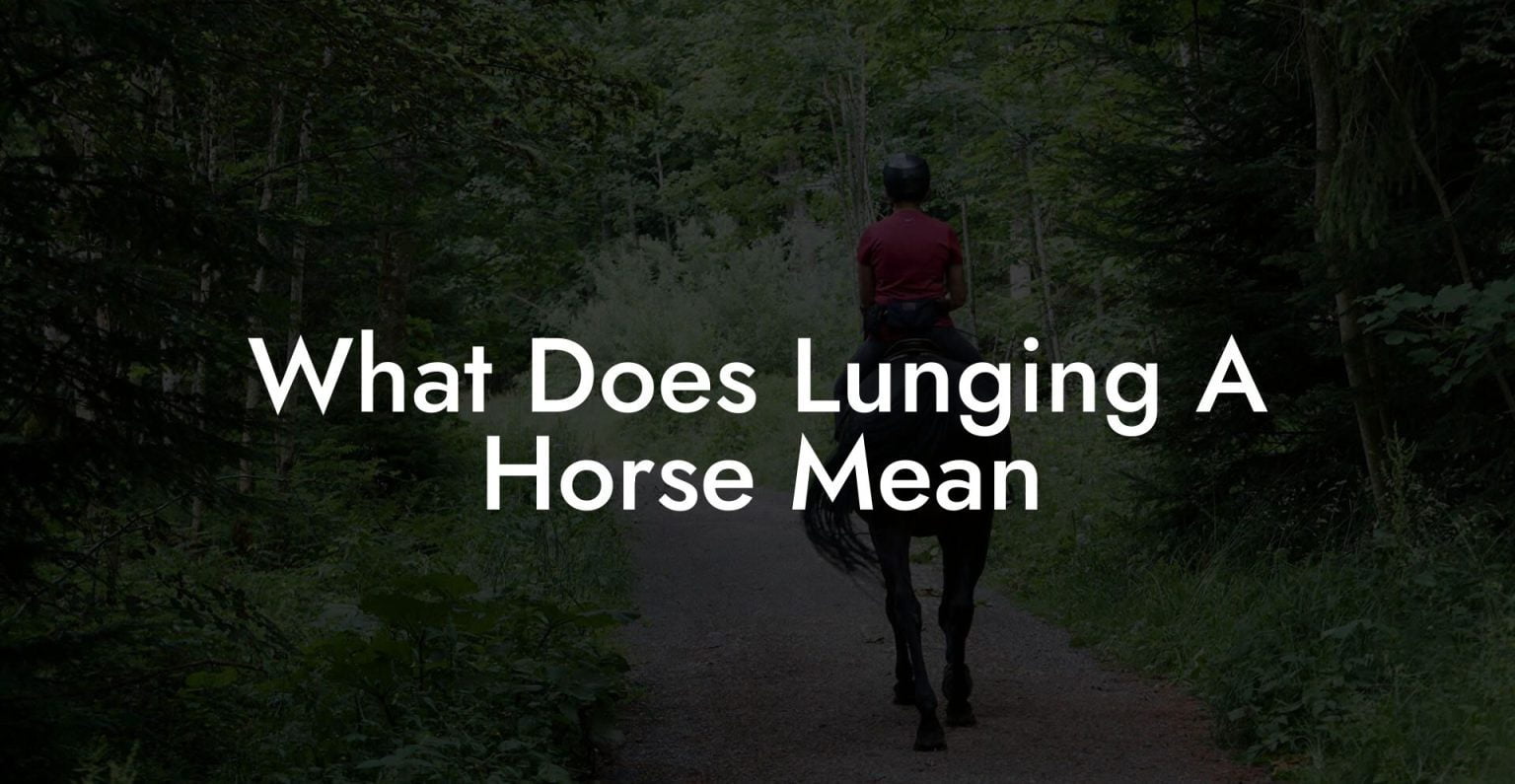 What Does Lunging A Horse Mean How To Own a Horse
