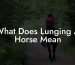 What Does Lunging A Horse Mean