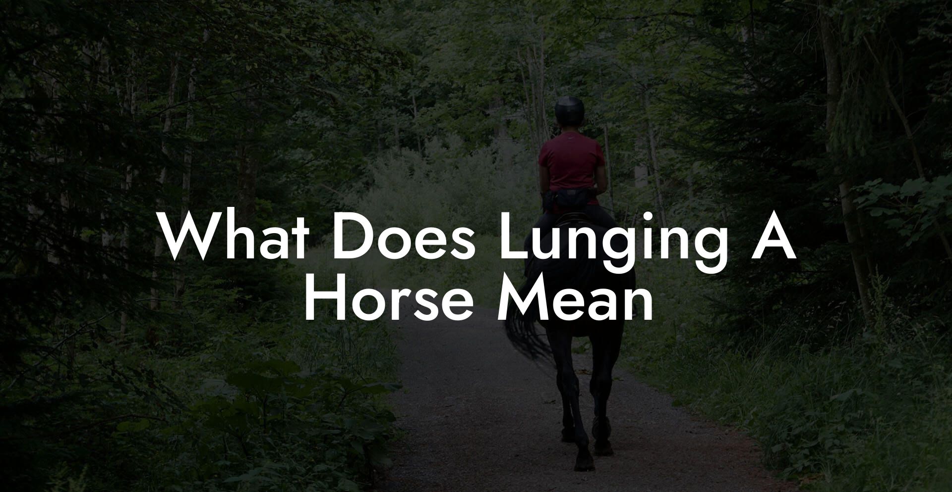 What Does Lunging A Horse Mean