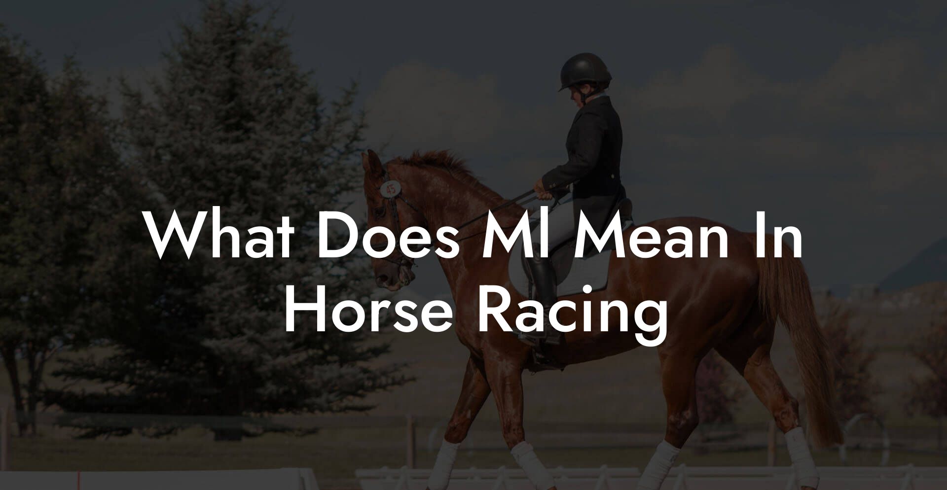 What Does Ml Mean In Horse Racing