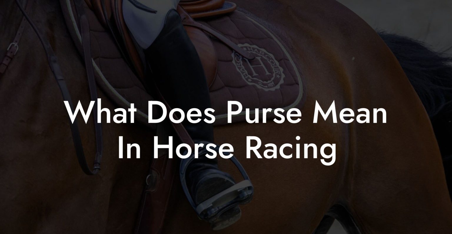 What Does Purse Mean In Horse Racing How To Own a Horse
