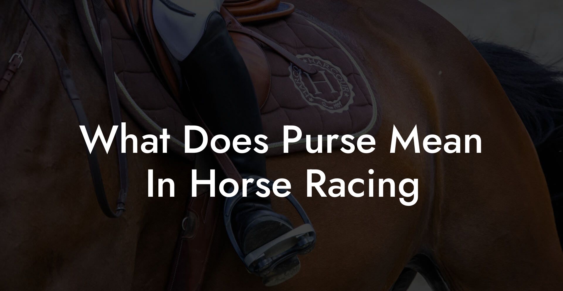 What Does Purse Mean In Horse Racing