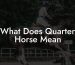 What Does Quarter Horse Mean
