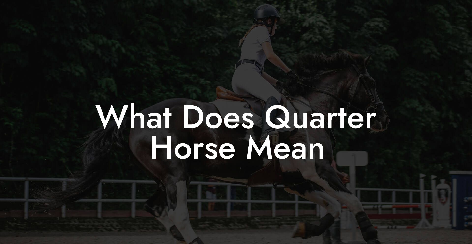 What Does Quarter Horse Mean - How To Own a Horse