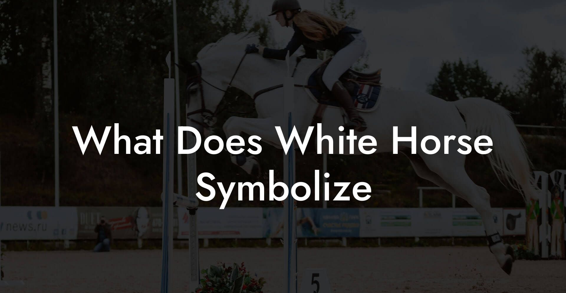 What Does White Horse Symbolize