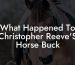 What Happened To Christopher Reeve'S Horse Buck