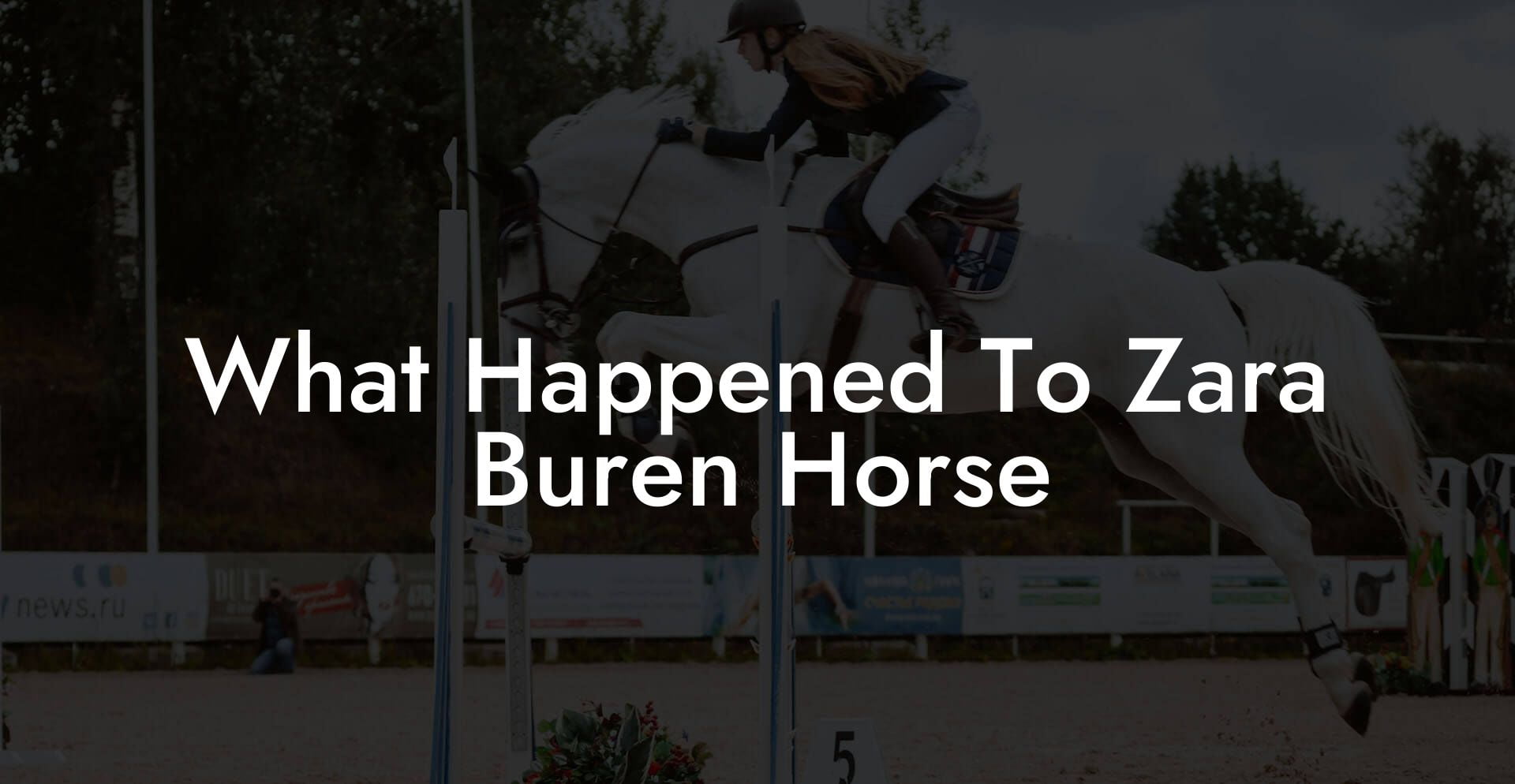 What Happened To Zara Buren Horse