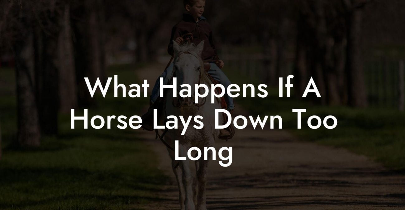 What Happens If A Horse Lays Down Too Long