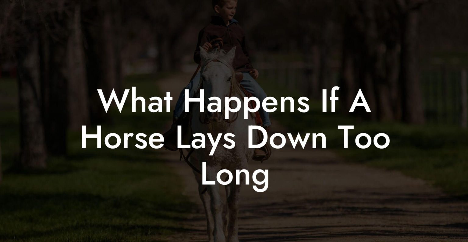 What Happens If A Horse Lays Down Too Long How To Own a Horse