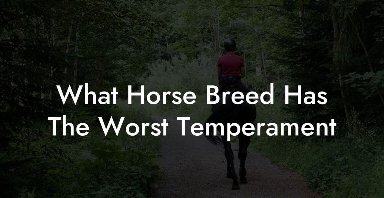 What Horse Breed Has The Worst Temperament