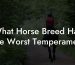 What Horse Breed Has The Worst Temperament