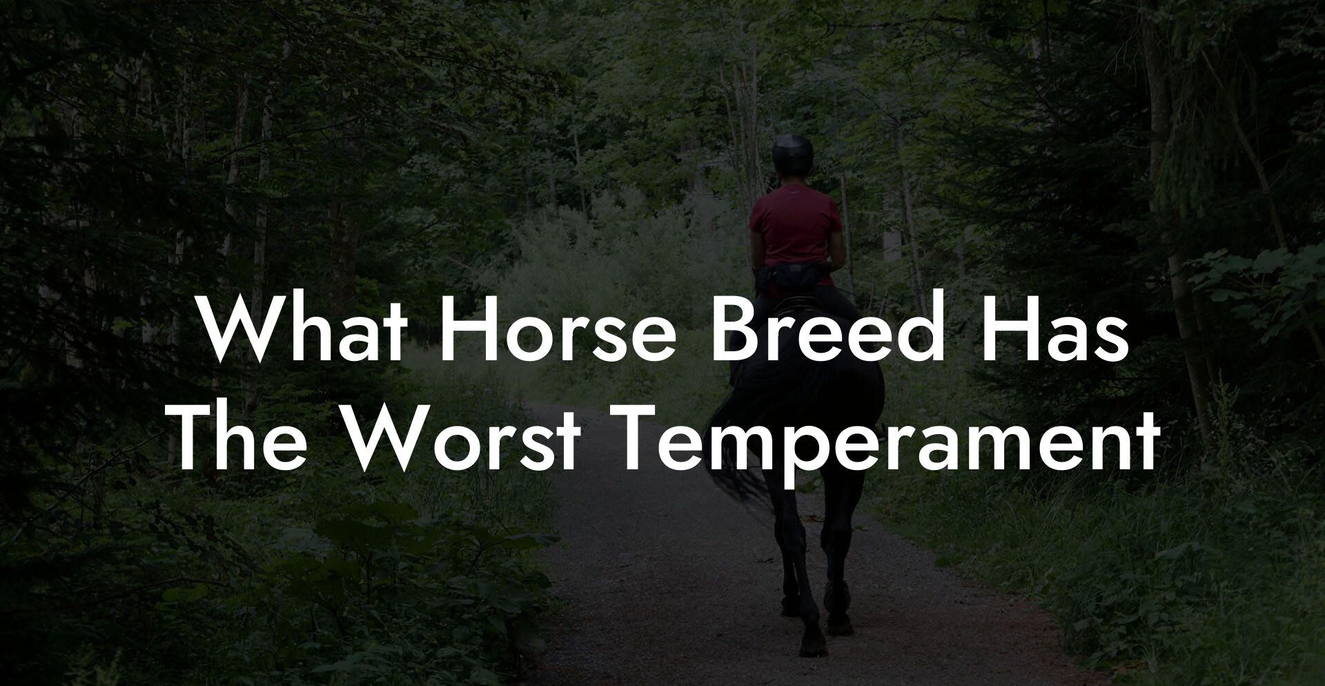 What Horse Breed Has The Worst Temperament
