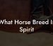 What Horse Breed Is Spirit