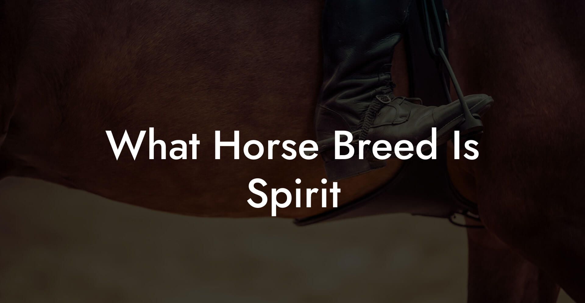 What Horse Breed Is Spirit