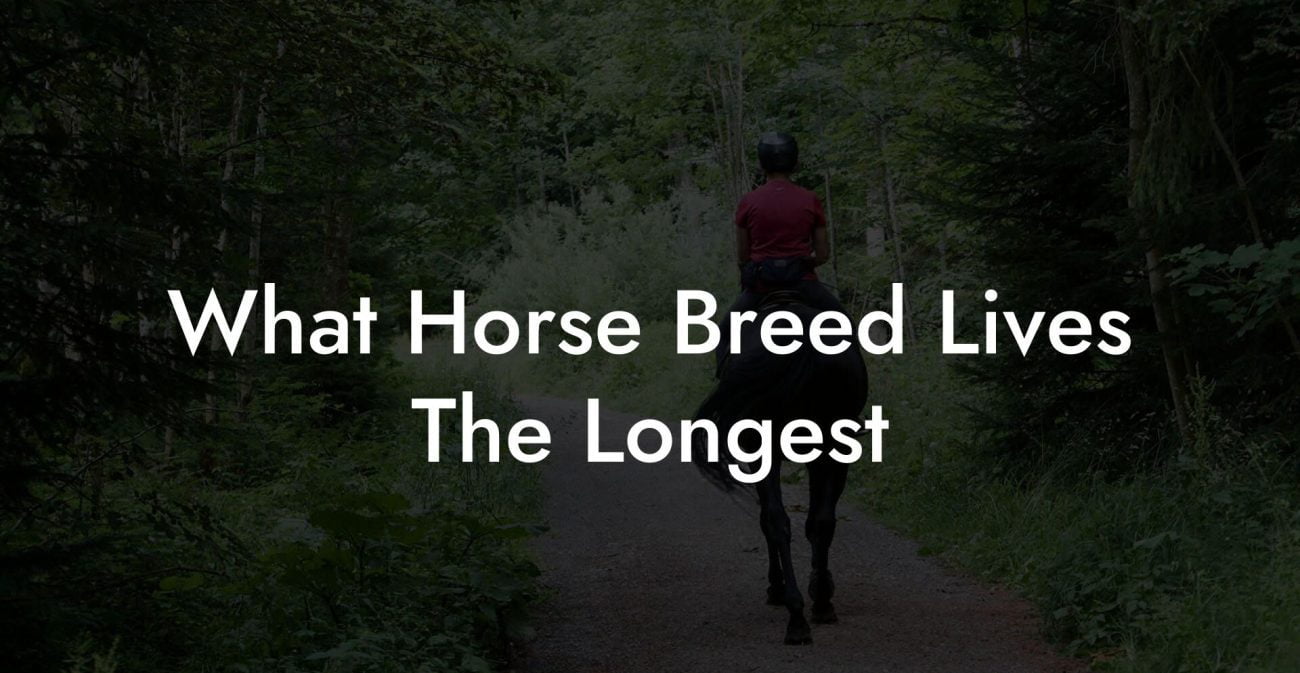 What Horse Breed Lives The Longest