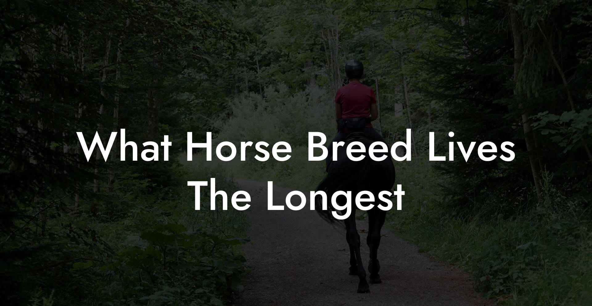 What Horse Breed Lives The Longest