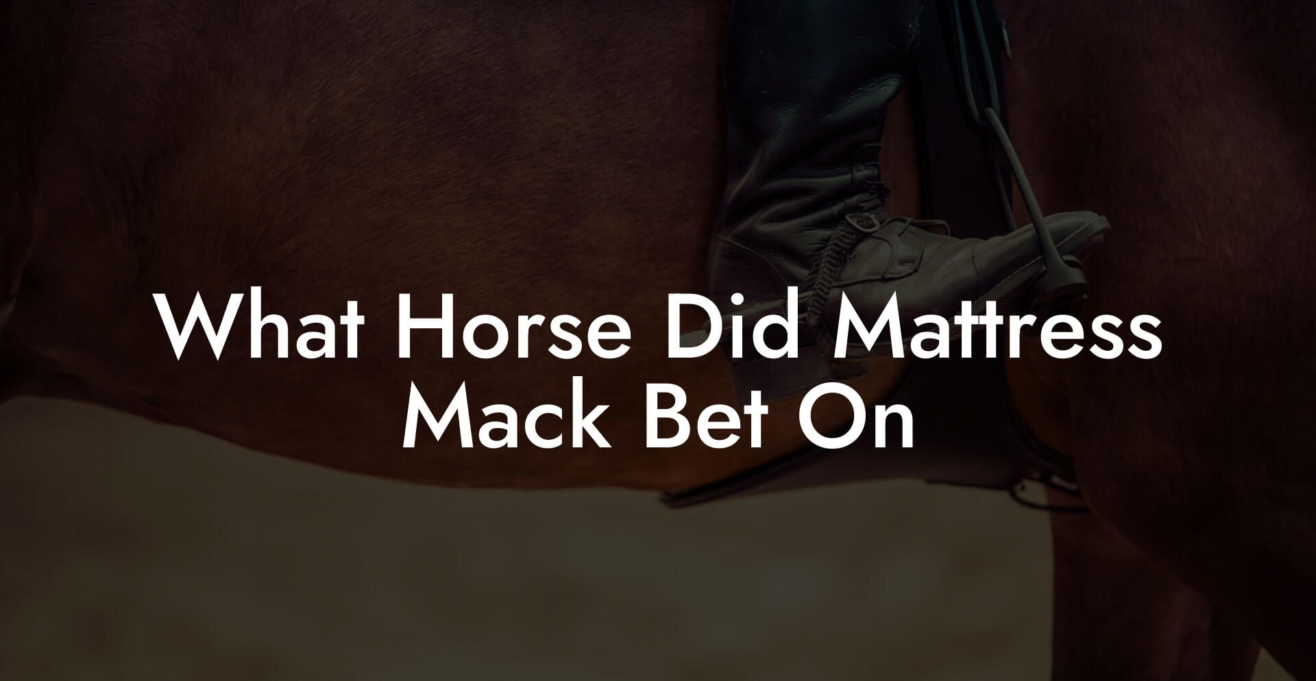 What Horse Did Mattress Mack Bet On