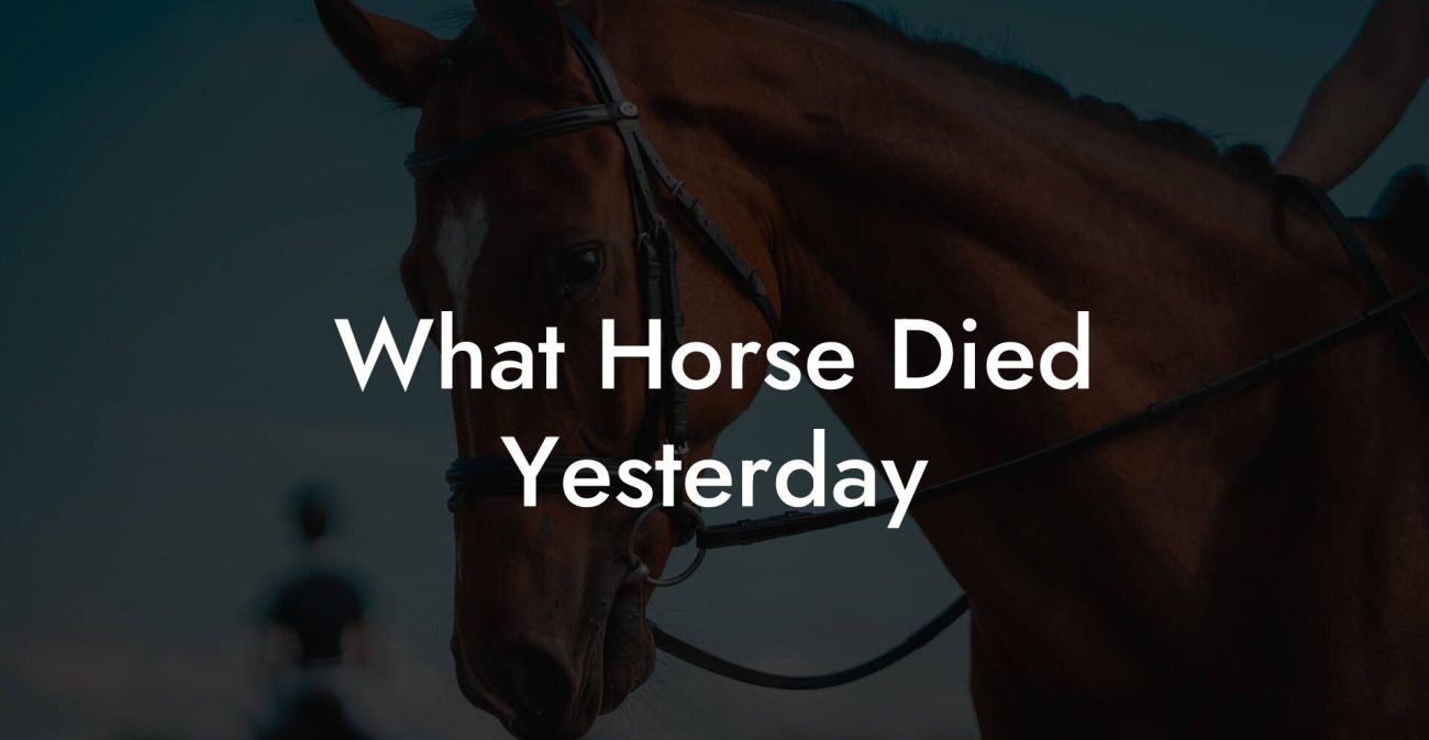 What Horse Died Yesterday