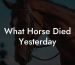 What Horse Died Yesterday