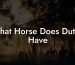 What Horse Does Dutch Have