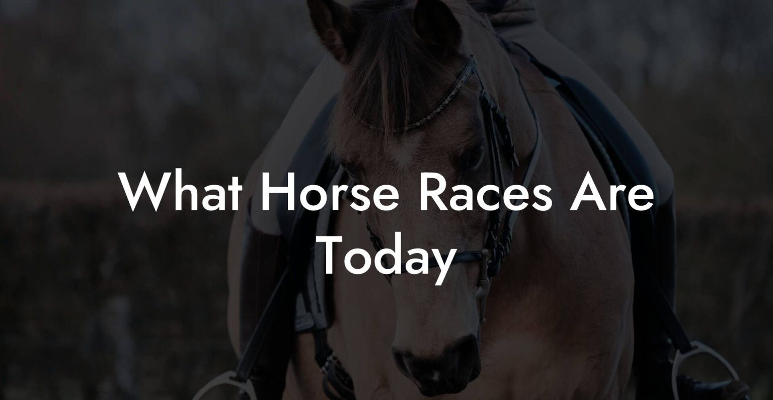 What Horse Races Are Today How To Own a Horse