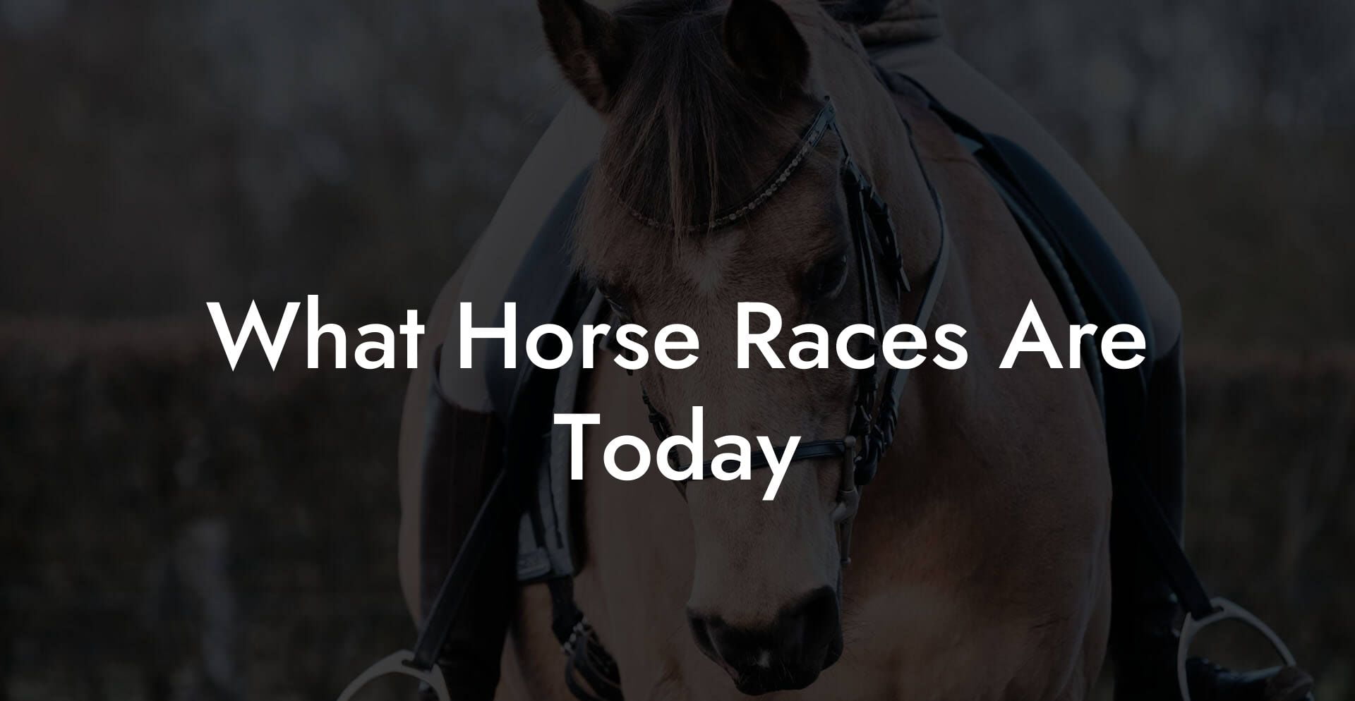What Horse Races Are Today
