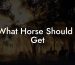 What Horse Should I Get