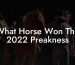 What Horse Won The 2022 Preakness