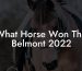What Horse Won The Belmont 2022